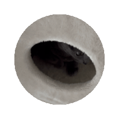 k_20241130215652