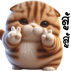 TuHu Fat Cat