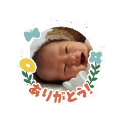 Ky_20241130134314