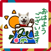 2025 New Year stickers White Shibainu