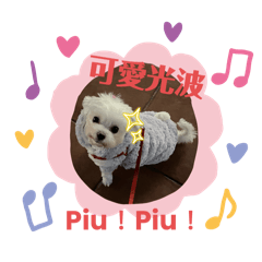 一些有趣的小可愛第二彈！