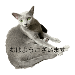 keiko_20241130104721