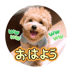 サスケの表情を活用しています
