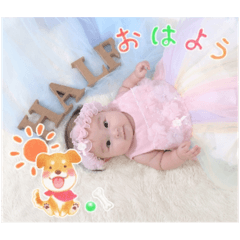koto_20241130221202