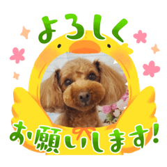 とらくんの新しいスタンプ