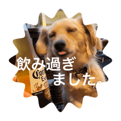 ponzu_20241130155218