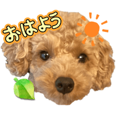 Coco_20241130202418