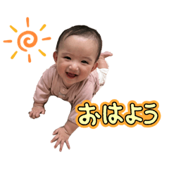 koto_2024113020304