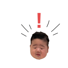 KINAKO_20241201003414