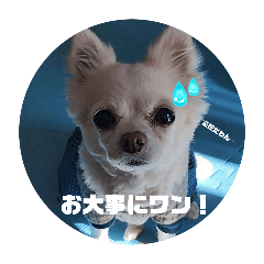 miki_20241130145030