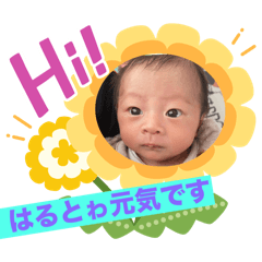Shohei_2024HARUTO