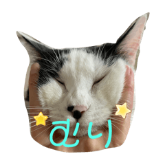 Saku_20241130193151