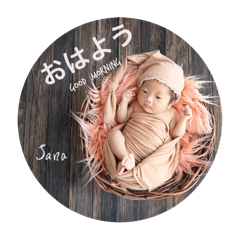 Shigekun_20241130160206