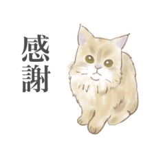 KINAKOsan!