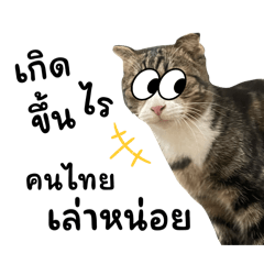 Jeans_20241201113118