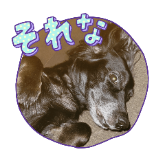 RinTon_20241201010830