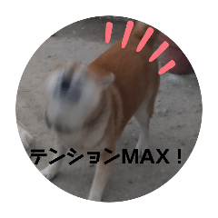 miki_20241201131316