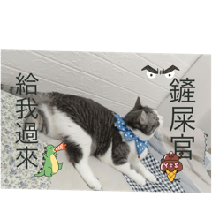 Eve 動物的內心世界