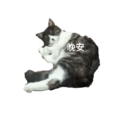 晚安小獄