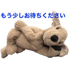 mii_20241201144948
