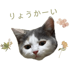 miki_20241201150036