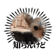monatsu_20241201235103