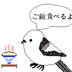 DotBird