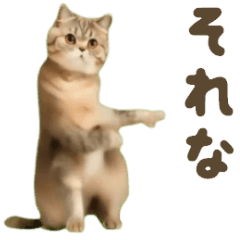 movecatSticker