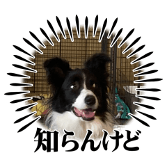yuto_20241201171736