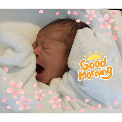 chihiro_20241201165528