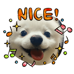 NMAMA_20241201191850