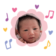 coco_20241201191804