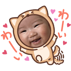 naa_20241201180409
