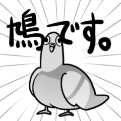 This is a Japanese pigeon.