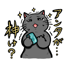 The nerdy cat speaks Toyama dialect