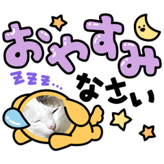 世界のきゅんちゃん