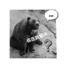 胖胖的小熊