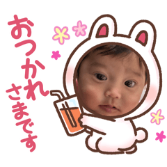 mai_20241201195605