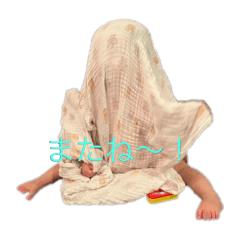 koto_2024120119561