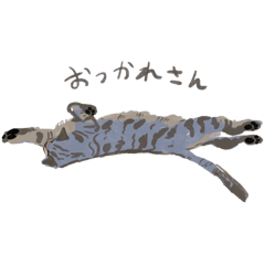 Tami_tora