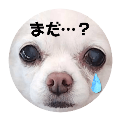 miki_20241201160944