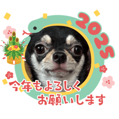 keiko_20241201213756