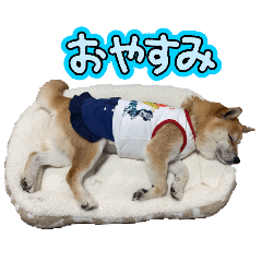 chiyo_e