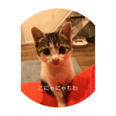 keiko_20241201201212