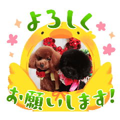 KK_20241201185505