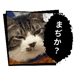 TORORO-kun