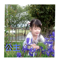 Amei王