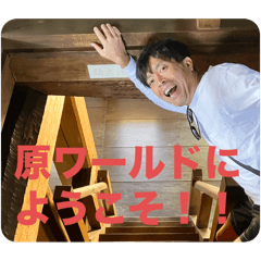 UME SAN_20241201215028