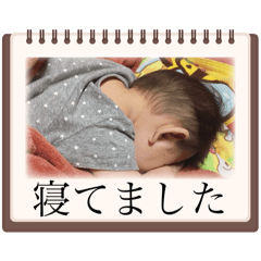 choru_20241202001648