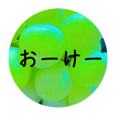 p.m.20241202011030